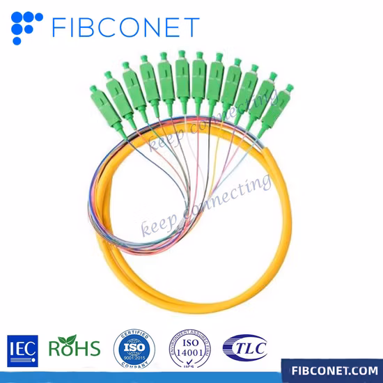 FTTH 12 Core Optical Cable Sc/APC Singlemode Fiber Optic Pigtail